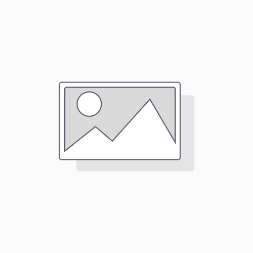 Pen White/ Silver with clip 2636